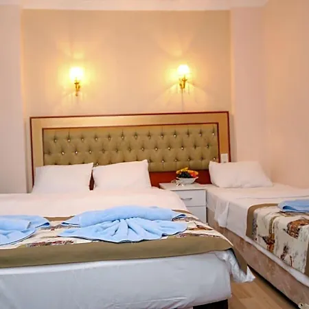 Otel Mini House