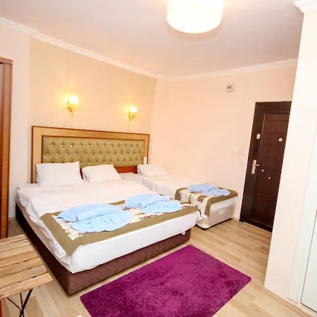Otel Mini House