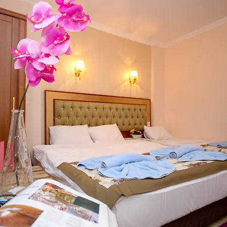 Mini House Hotel Istanboel