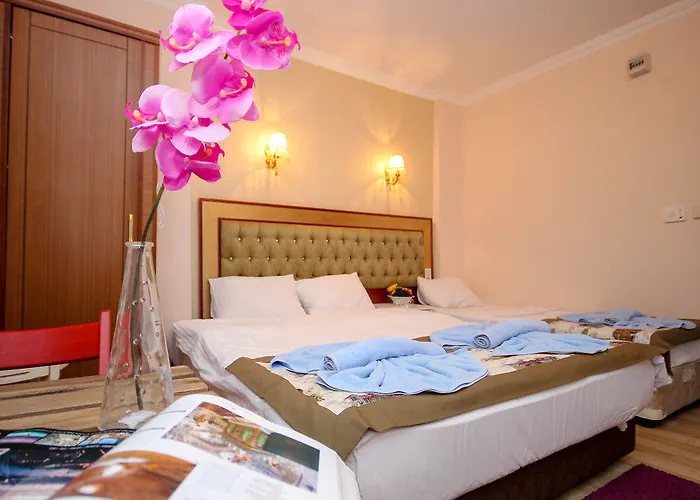Mini House Hotell Istanbul